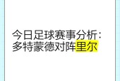 YY体育-包含多特蒙德内部会议纪要流出：今夜刷新队史纪录，意大利杯使命明确，细节决定成败的词条