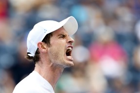 易游体育-关于穆雷迎来二十赛季高光表现，MAD球迷沸腾！的信息