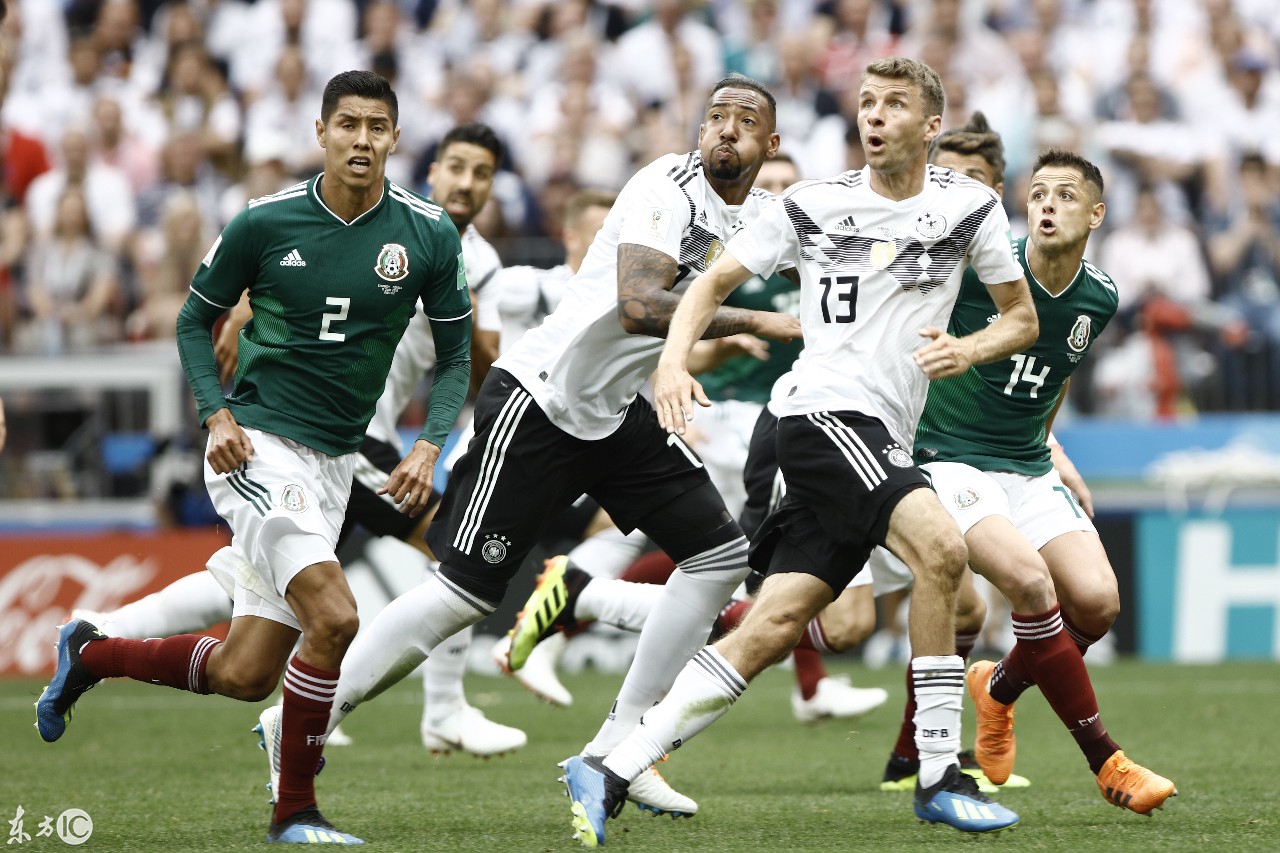 包含皇家马德里训练开放日；赛后调整名单引欢呼；足总杯在即；团队化学反应显著的词条